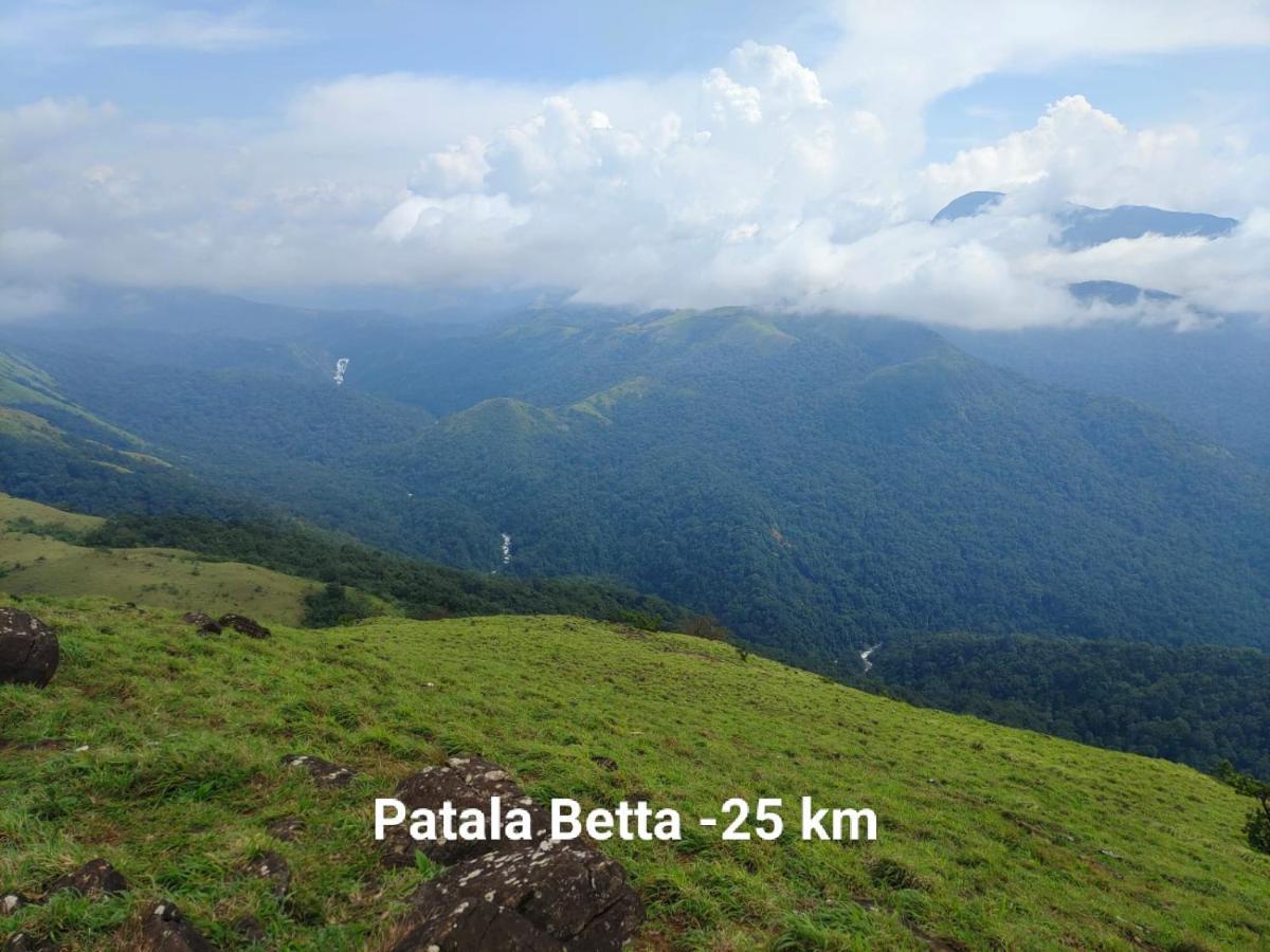 Doddakallu Betta Homestay Coorg Somvārpet Exteriér fotografie