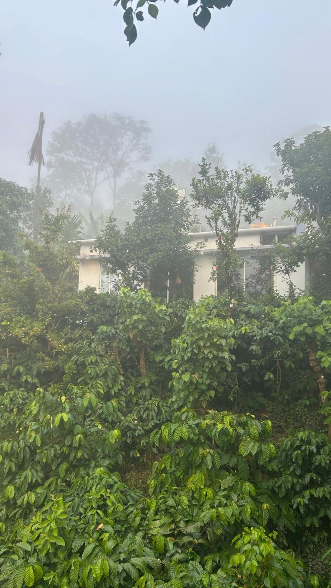 Doddakallu Betta Homestay Coorg Somvārpet Exteriér fotografie